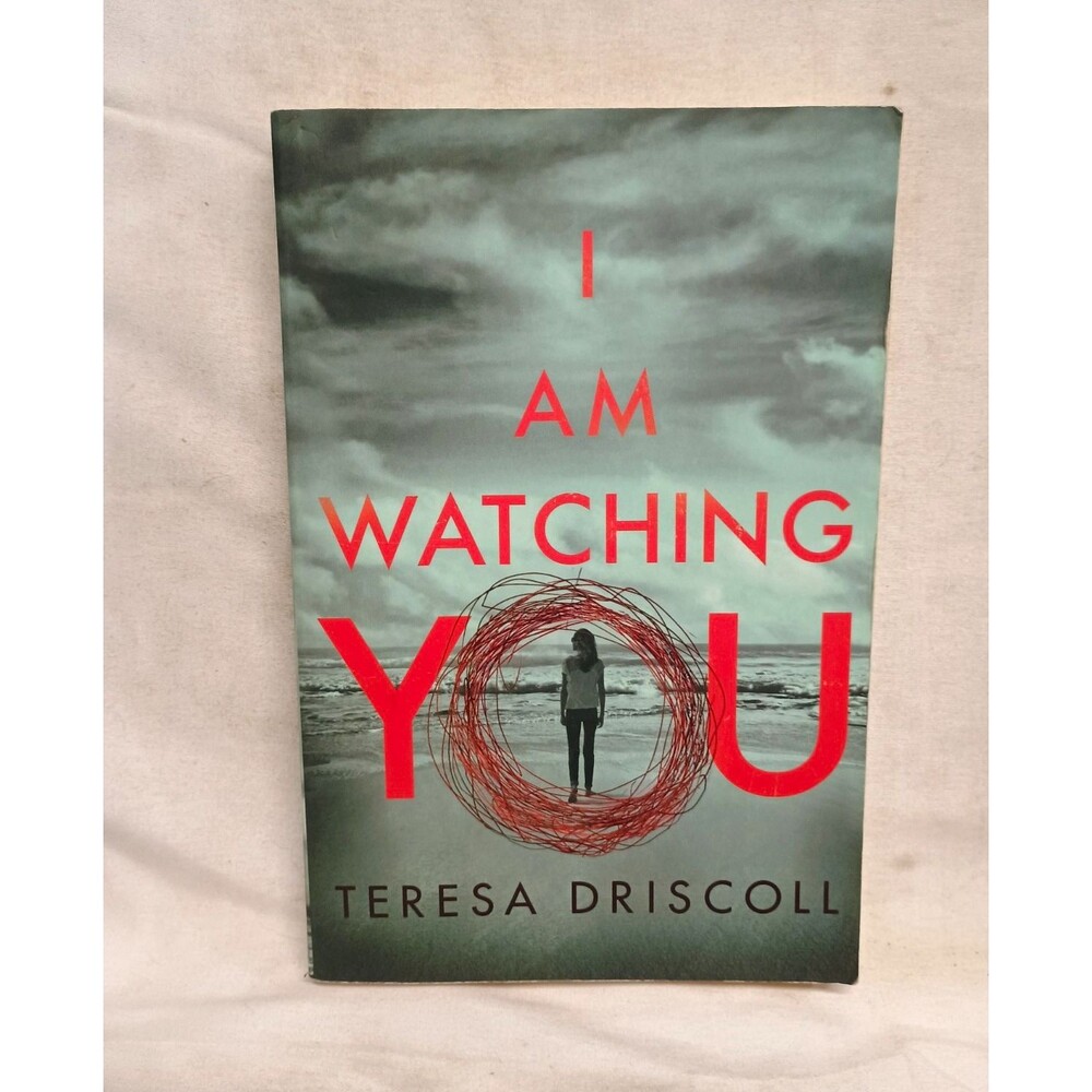 I Am Watching You Teresa Driscoll 2017 Psychological Thriller Mystery Paperback